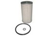 TATA 253418130129 Oil Filter